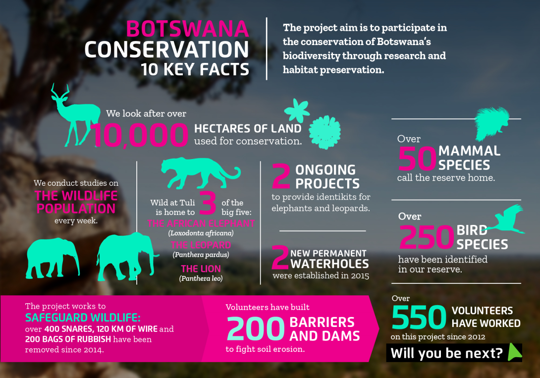 The impact you will make on the conservation volunteer project in Botswana with projects abroad Interesting facts about conservation volunteering in Botswana with projects abroad
